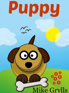 Book example for children